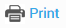 the Print link