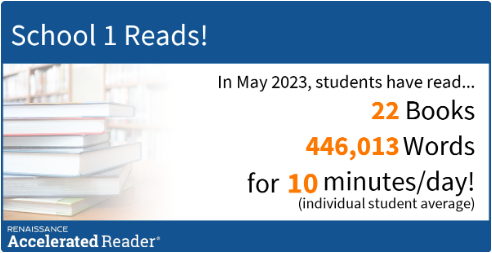 an example of a reading snapshot showing how much reading a school has done in the school year
